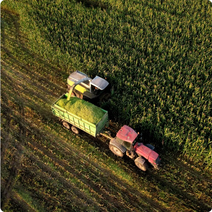 A tractor and harvester transferring crops in a large field 